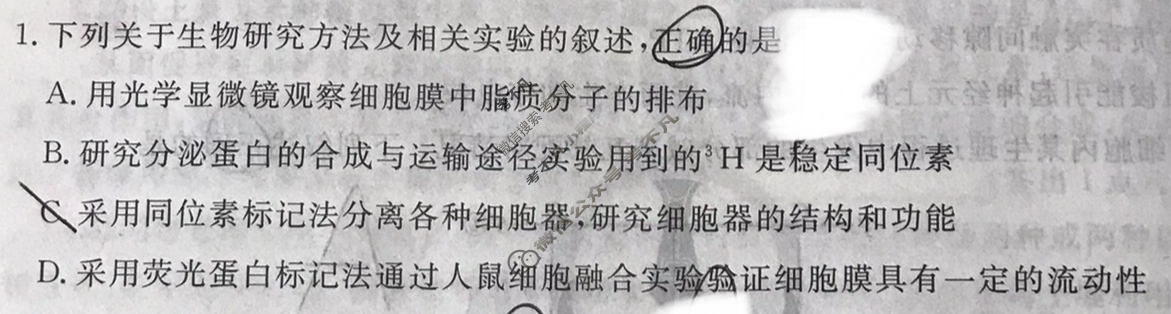 衡水金卷先享题 2024-2025学年度上学期高三年级四调考试·月考卷 生物学试题