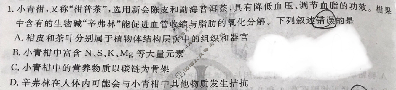 衡水金卷先享题 2024-2025学年度上学期高三年级期中考试·月考卷 生物学试题