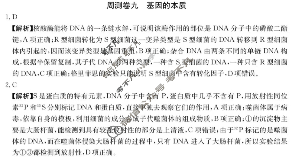 2025年高三第一轮复习周测卷·生物学[25·G3ZCJ(新高考)·生物学-R-必考-HAIN](九)9答案