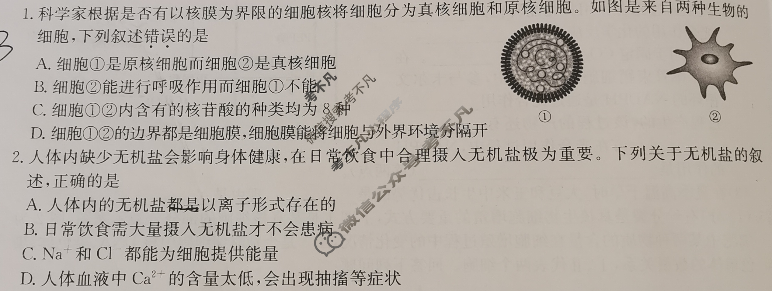 [九师联盟]2024-2025学年高一1月质量检测生物B试题
