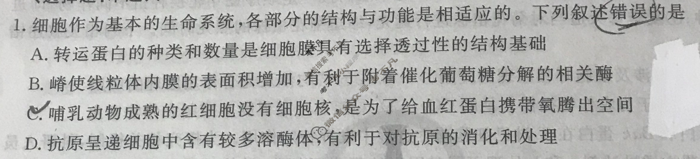 衡水金卷先享题 2024-2025学年度上学期高三年级期末考试·月考卷 生物学试题