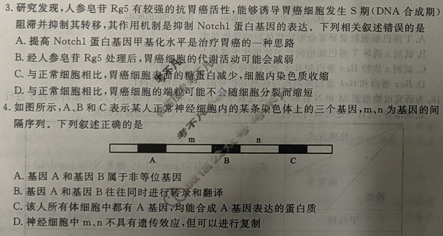 衡水金卷先享题 2024-2025学年度上学期高三年级期末考试·月考卷 生物学H试题