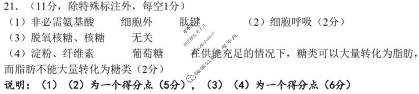 2025年1月葫芦岛市高二普通高中期末考试生物答案