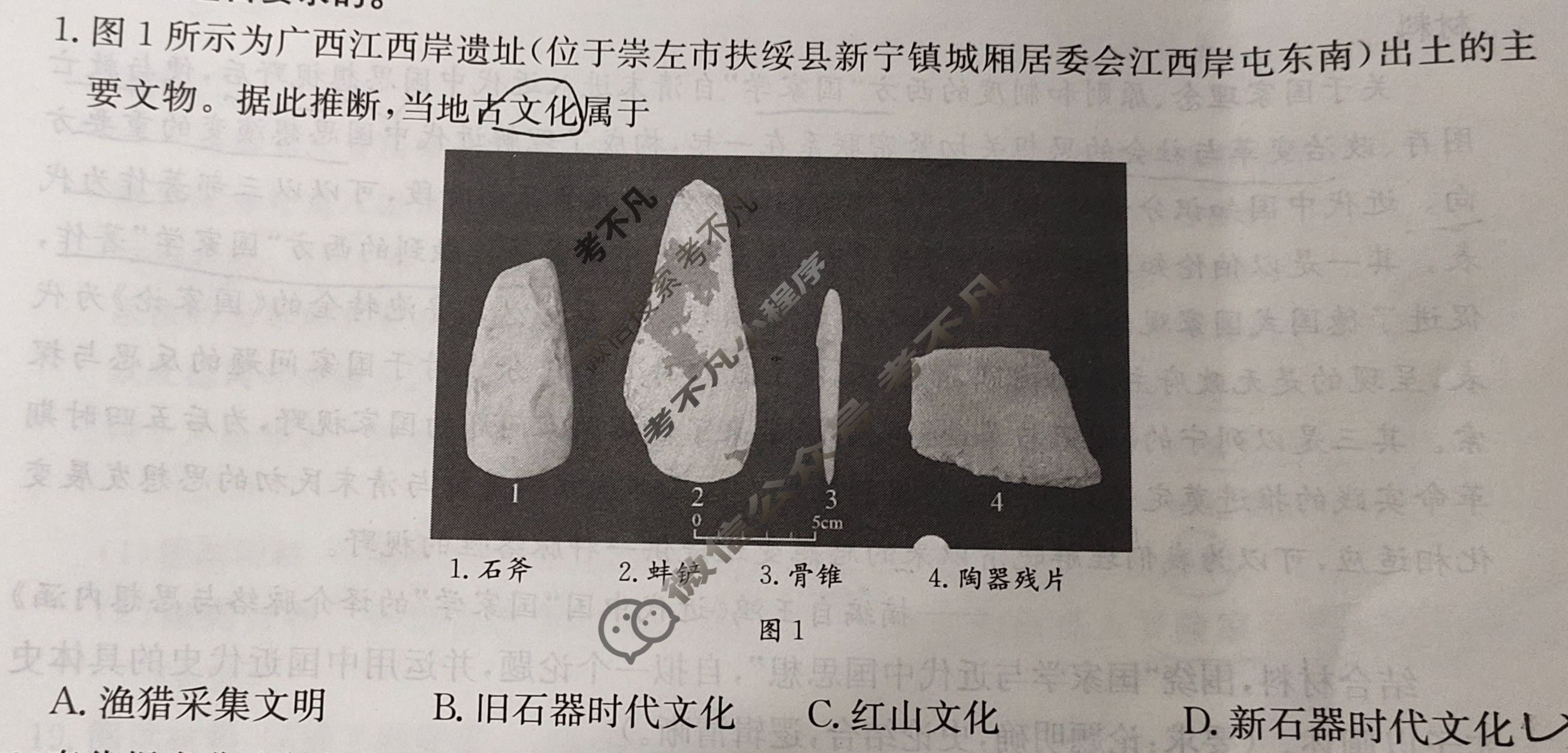 金太阳商洛市2024-2025学年度第一学期期末教学质量监测高三(1.20)历史试题
