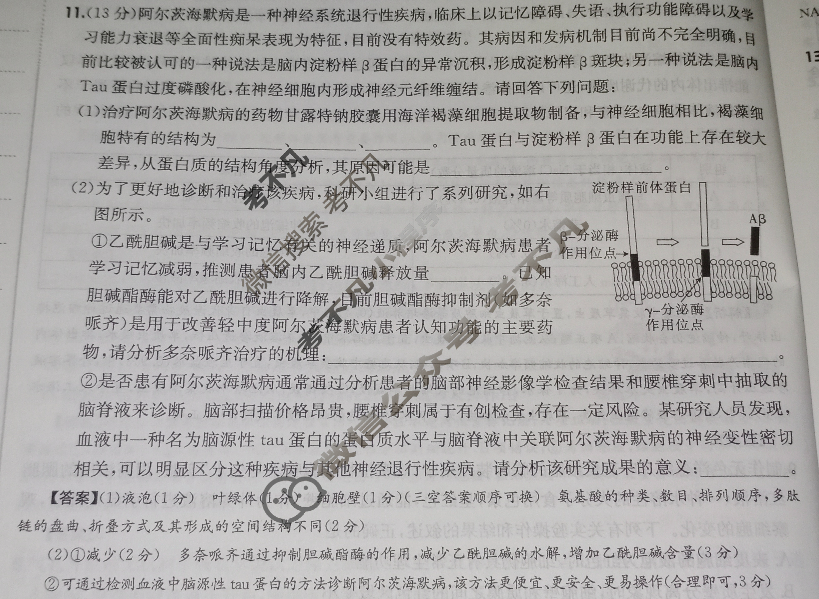 2025年高三第一轮复习周测卷·生物学[25·G3ZCJ(新高考)·生物学-R-必考-HAIN](三)3试题