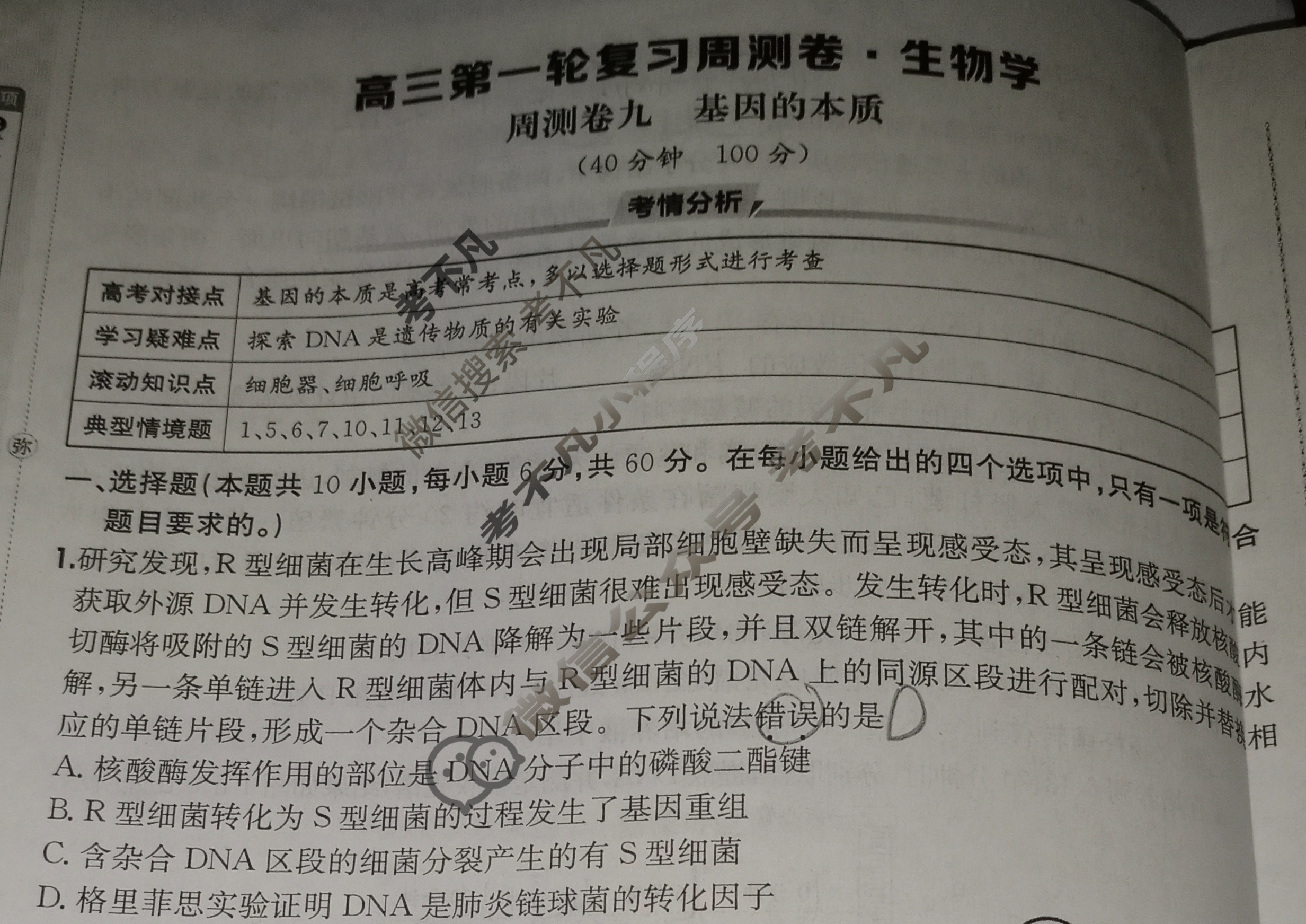 2025年高三第一轮复习周测卷·生物学[25·G3ZCJ(新高考)·生物学-R-必考-HAIN](九)9试题