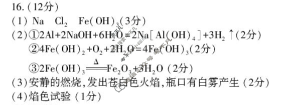洛阳市2024-2025学年高一第一学期期末(1月)化学答案