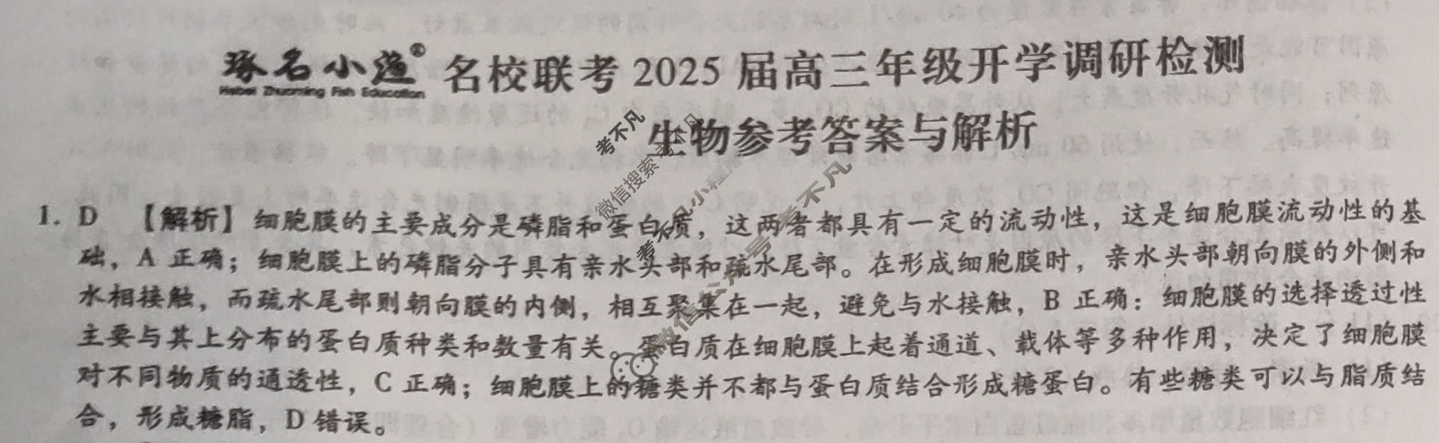 [琢名小渔]名校联考2025届高三年级开学调研检测生物答案