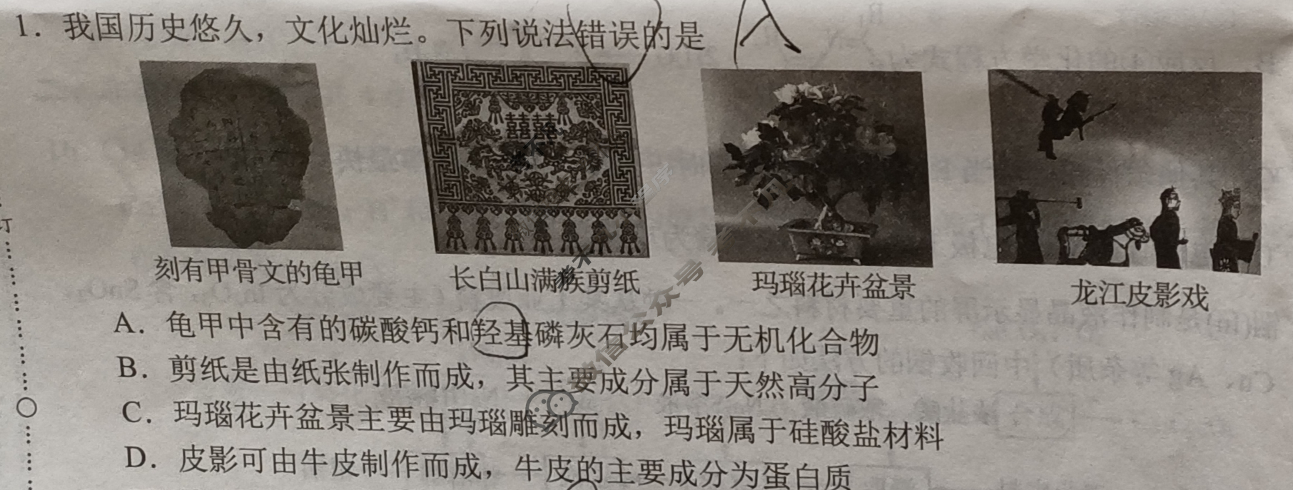 [学科网]2025届高三2月大联考化学A(新高考卷)试题
