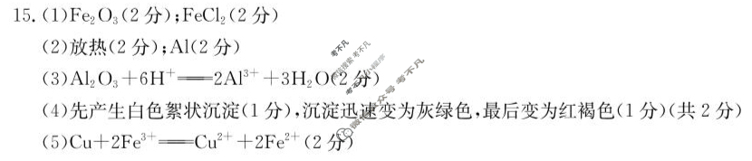 湖南金太阳2024-2025学年高一2月入学考试(2.21)化学答案