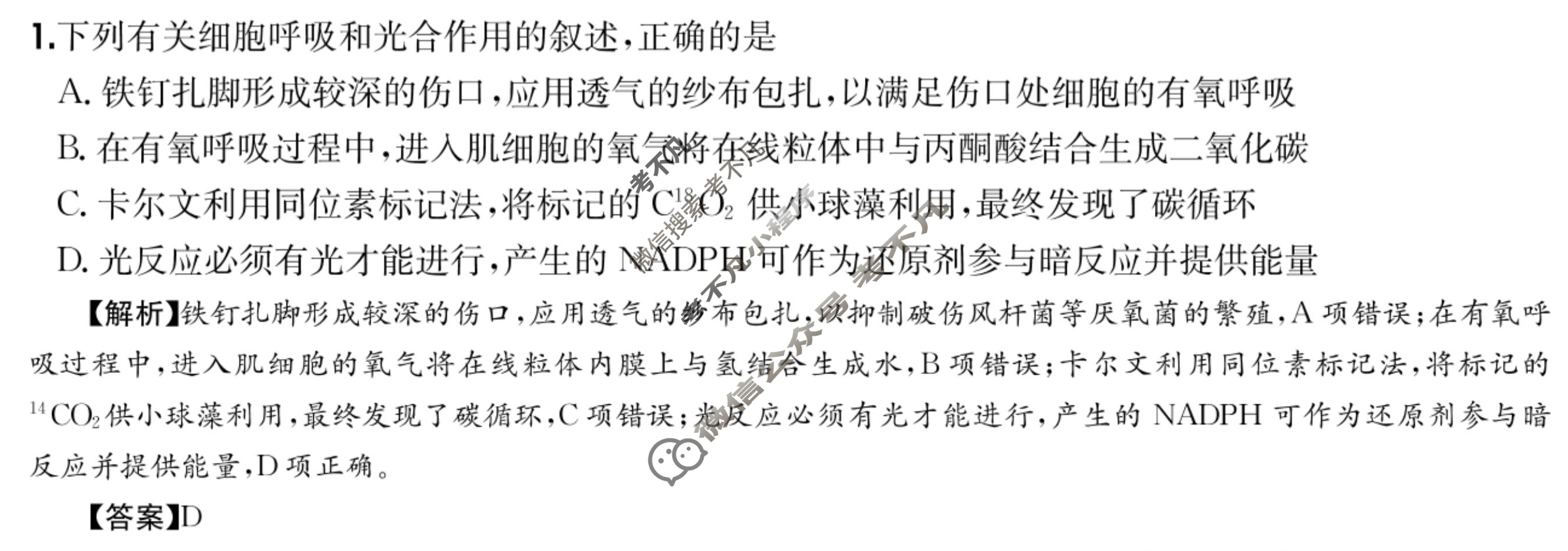 2025年高三第一轮复习周测卷·生物学[25·G3ZCJ(新高考)·生物学-R-必考-QGA-Y](九)9答案