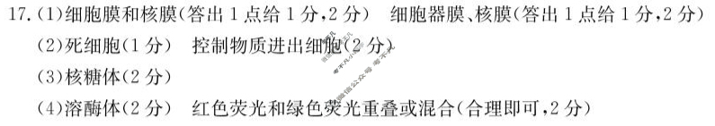 湖南金太阳2024-2025学年高一2月入学考试(2.21)生物答案