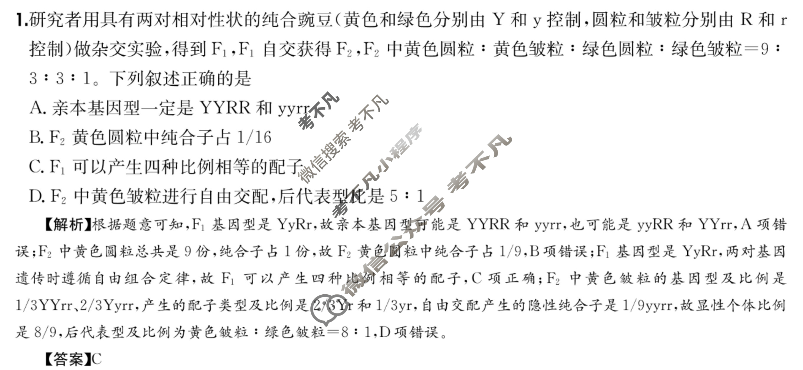 2025年高三第一轮复习周测卷·生物学[25·G3ZCJ(新高考)·生物学-R-必考-QGA-Y](十)10答案