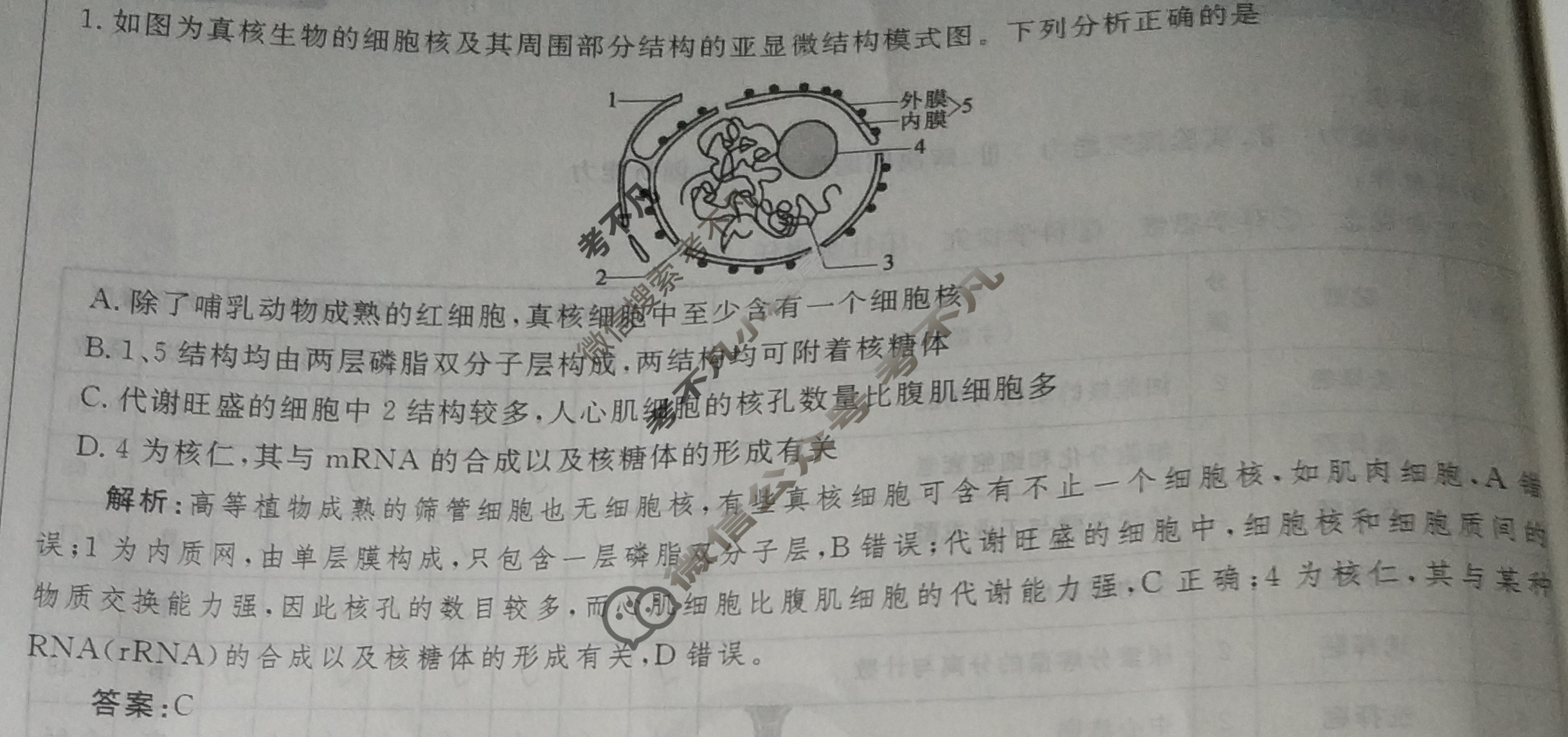 2025年衡水金卷先享题·信息卷 普通高中学业水平选择性考试模拟试题 生物学HN(一)1答案