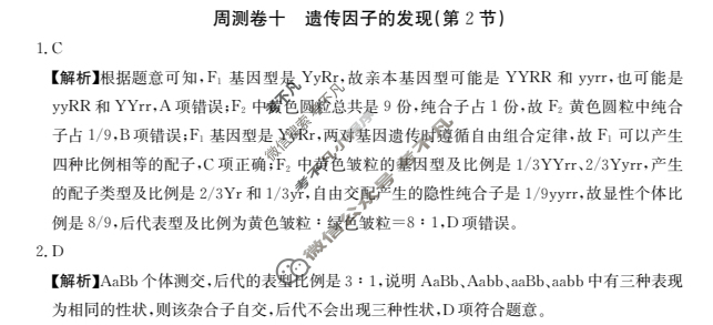 2025年高三第一轮复习周测卷·生物学[25·G3ZCJ(新高考)·生物学-R-必考-G DONG](十)10答案