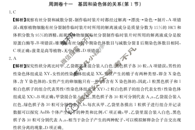 2025年高三第一轮复习周测卷·生物学[25·G3ZCJ(新高考)·生物学-R-必考-G DONG](十一)11答案