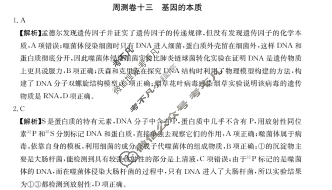 2025年高三第一轮复习周测卷·生物学[25·G3ZCJ(新高考)·生物学-R-必考-G DONG](十三)13答案