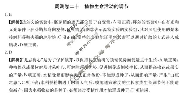 2025年高三第一轮复习周测卷·生物学[25·G3ZCJ(新高考)·生物学-R-必考-G DONG](二十)20答案