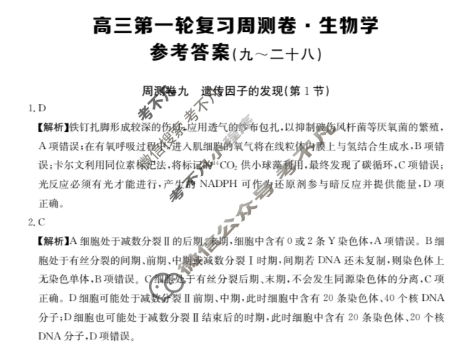 2025年高三第一轮复习周测卷·生物学[25·G3ZCJ(新高考)·生物学-R-必考-G DONG](九)9答案