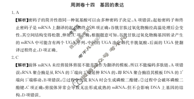 2025年高三第一轮复习周测卷·生物学[25·G3ZCJ(新高考)·生物学-R-必考-G DONG](十四)14答案