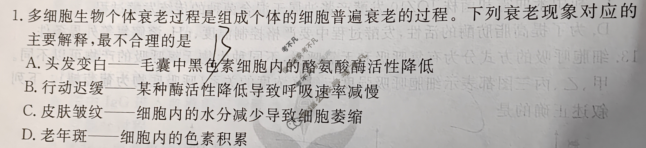 2025年衡水金卷先享题·信息卷 普通高中学业水平选择性考试模拟试题 生物学Q(二)2试题