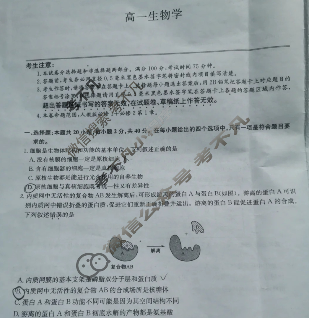 [九师联盟]2024-2025学年高一3月质量检测生物B试题