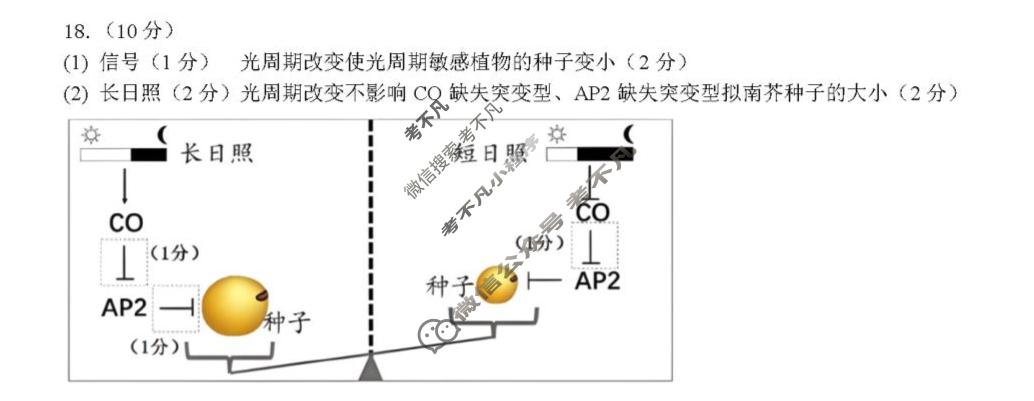 决胜新高考·四川名优校联盟2025年高三年级下学期一模(4月)生物答案