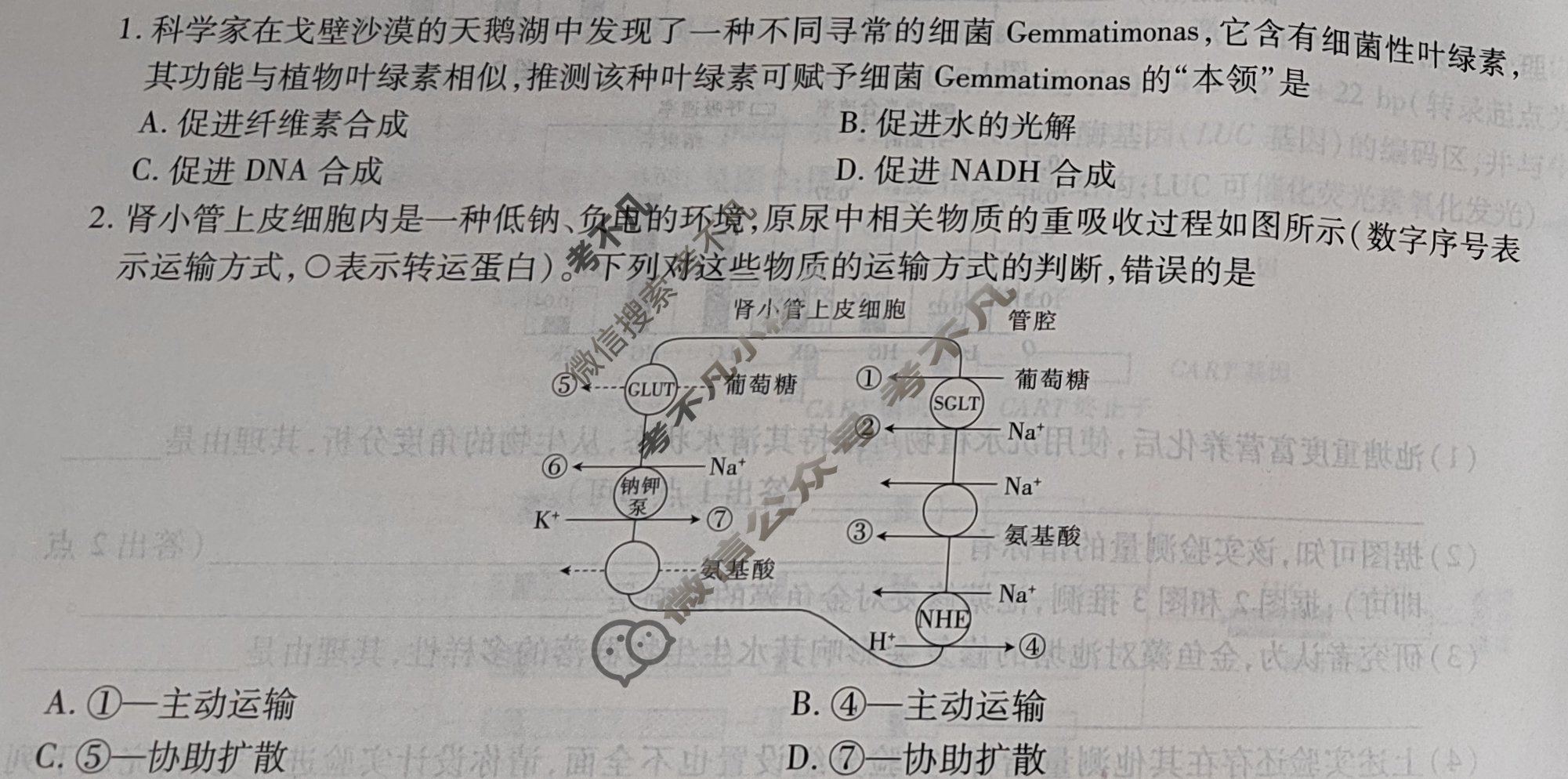 [智慧上进]2025届名校学术联盟·高考模拟信息卷&冲刺卷(五)5生物·AH试题