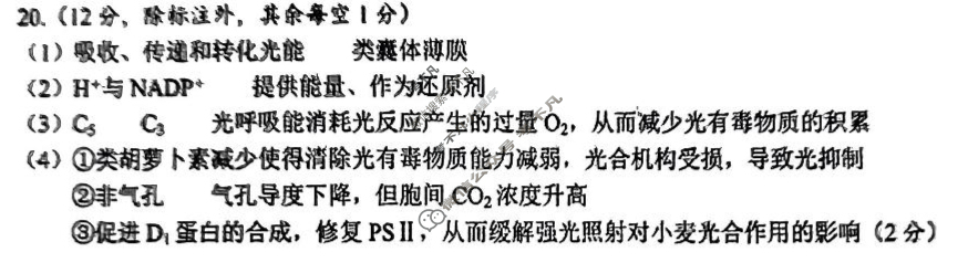 江苏省2025届新高考基地学校第二次大联考(4月)生物答案