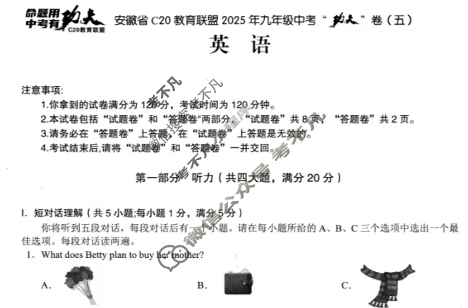 安徽省初中C20教育联盟2025年九年级中考“功夫”卷(五)5英语试题
