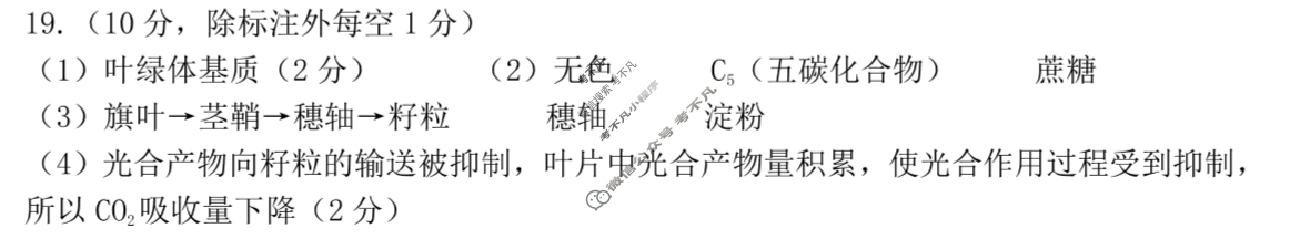 石家庄市2025届普通高中学校毕业年级教学质量检测(石家庄三模)(三)3生物答案