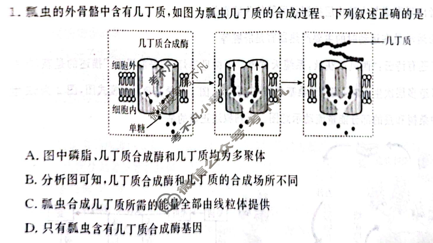 名师卷·高考模拟信息卷 2025年普通高等学校招生全国统一考试模拟试题 理科综合◇(五)5试题
