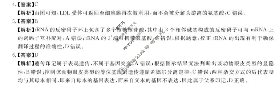 河南省2025届高三第二学期5月质量检测生物答案