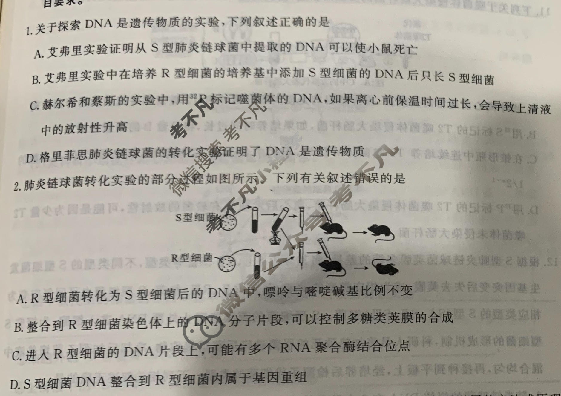 [衡水金卷先享题]2025-2026高三一轮复习40分钟周测卷/生物学Q(十一)11试题