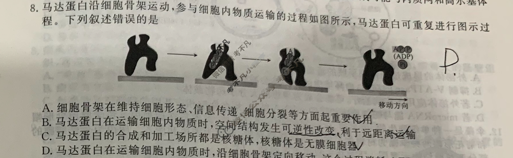 [衡水金卷先享题]2025-2026高三一轮复习40分钟周测卷/生物学Q(二)2试题