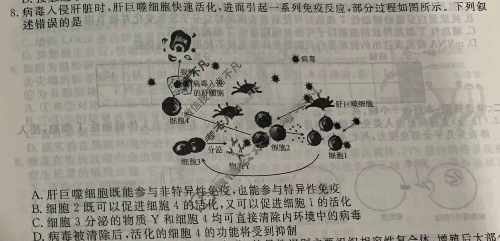 [衡水金卷先享题]2025-2026高三一轮复习40分钟周测卷/生物学Q(十七)17试题
