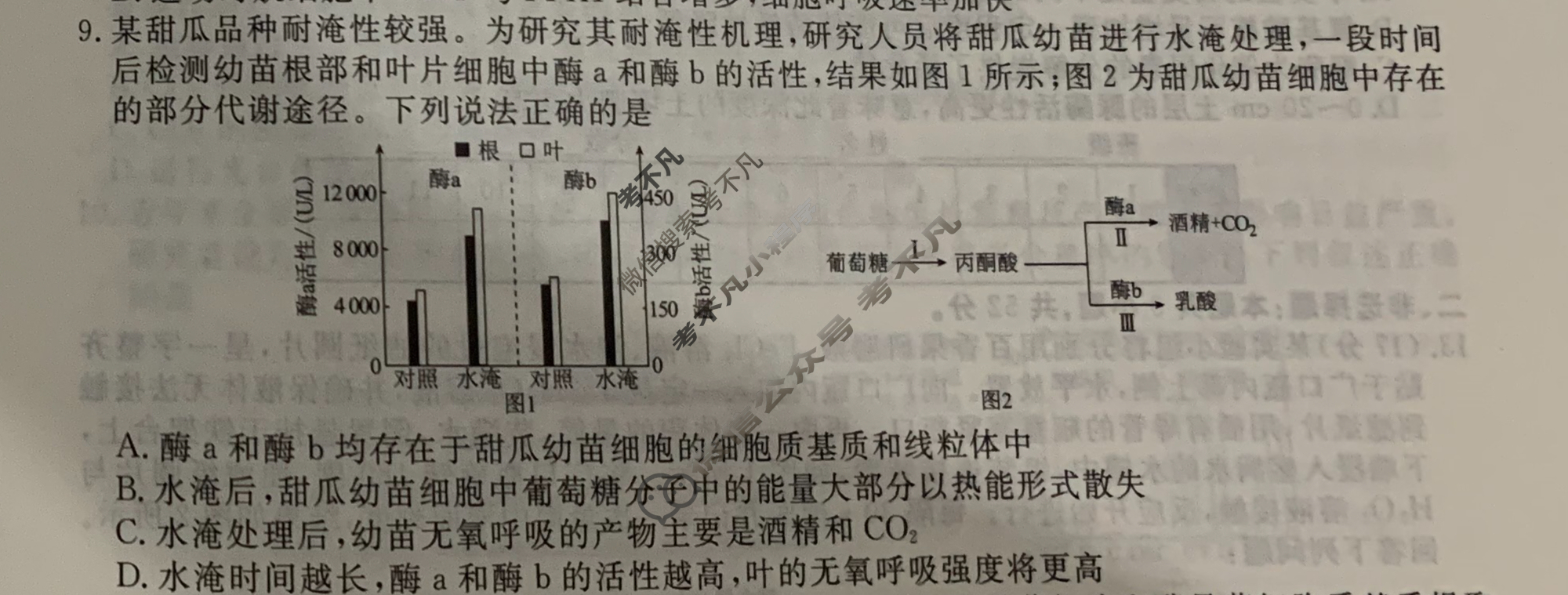 [衡水金卷先享题]2025-2026高三一轮复习40分钟周测卷/生物学Q(四)4试题