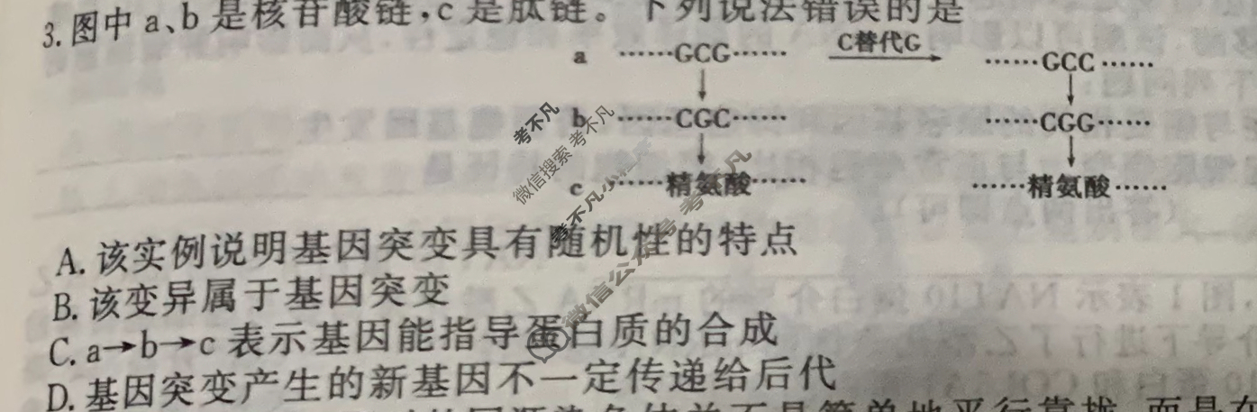 [衡水金卷先享题]2025-2026高三一轮复习40分钟周测卷/生物学Q(十三)13试题