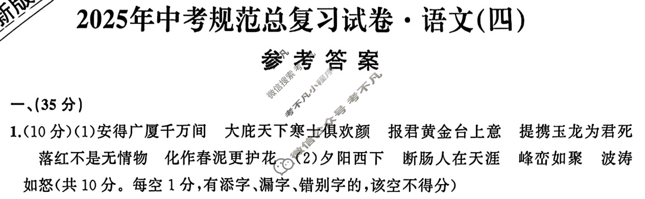 2025届九年级安徽省中考规范总复习(四)4语文答案