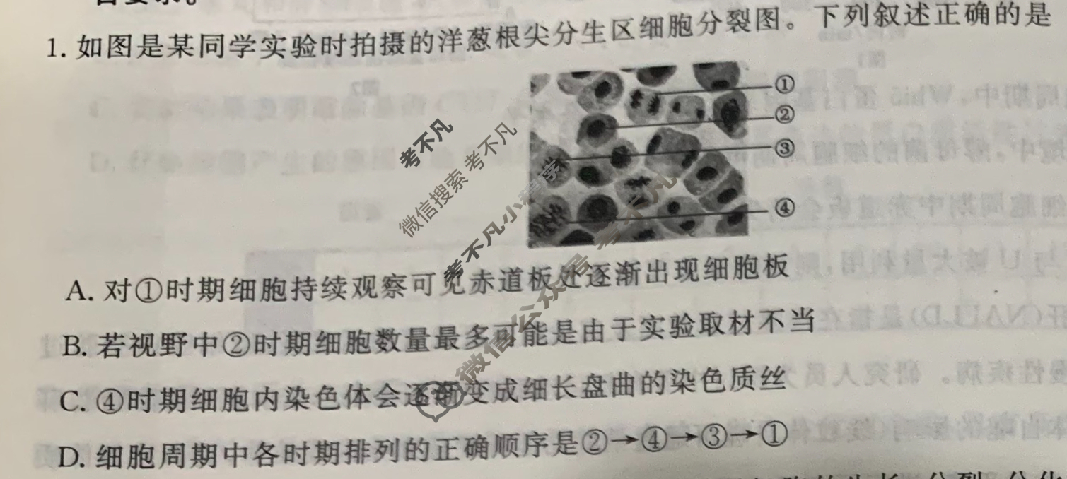 [衡水金卷先享题]2025-2026高三一轮复习40分钟周测卷/生物学Q(六)6试题