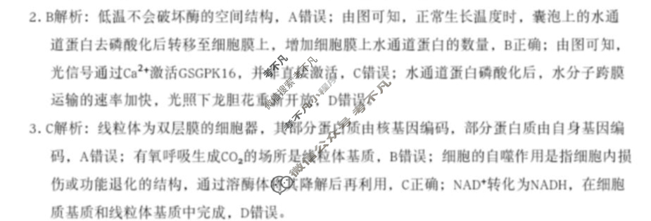 合肥一中2025届高三最后一卷(2025.5)生物答案