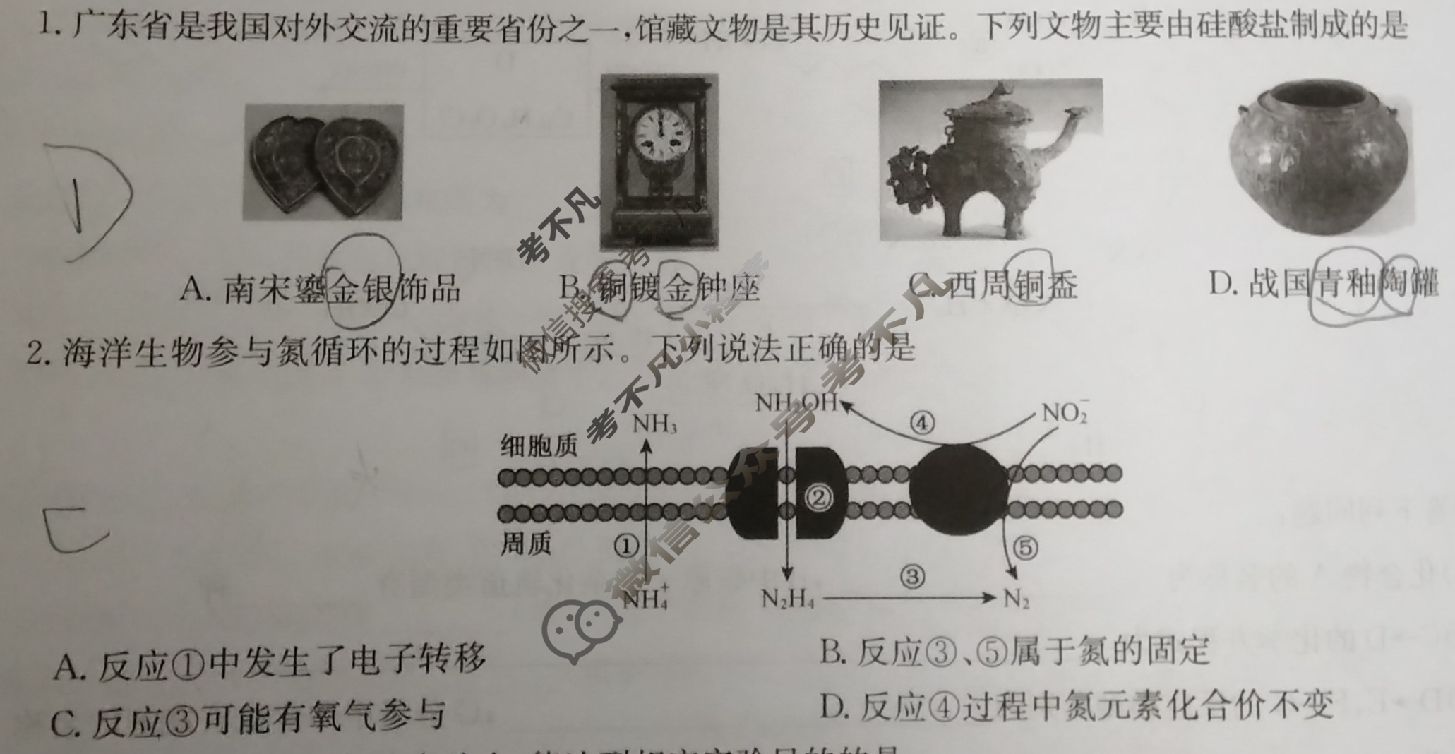[九师联盟]2025届高三5月考前押题(角标含G)化学X-G试题