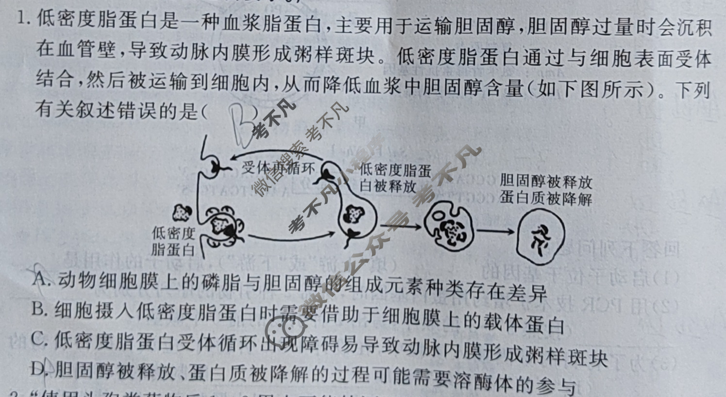 合肥一六八中学2025届高三最后一卷(2025.5)生物试题