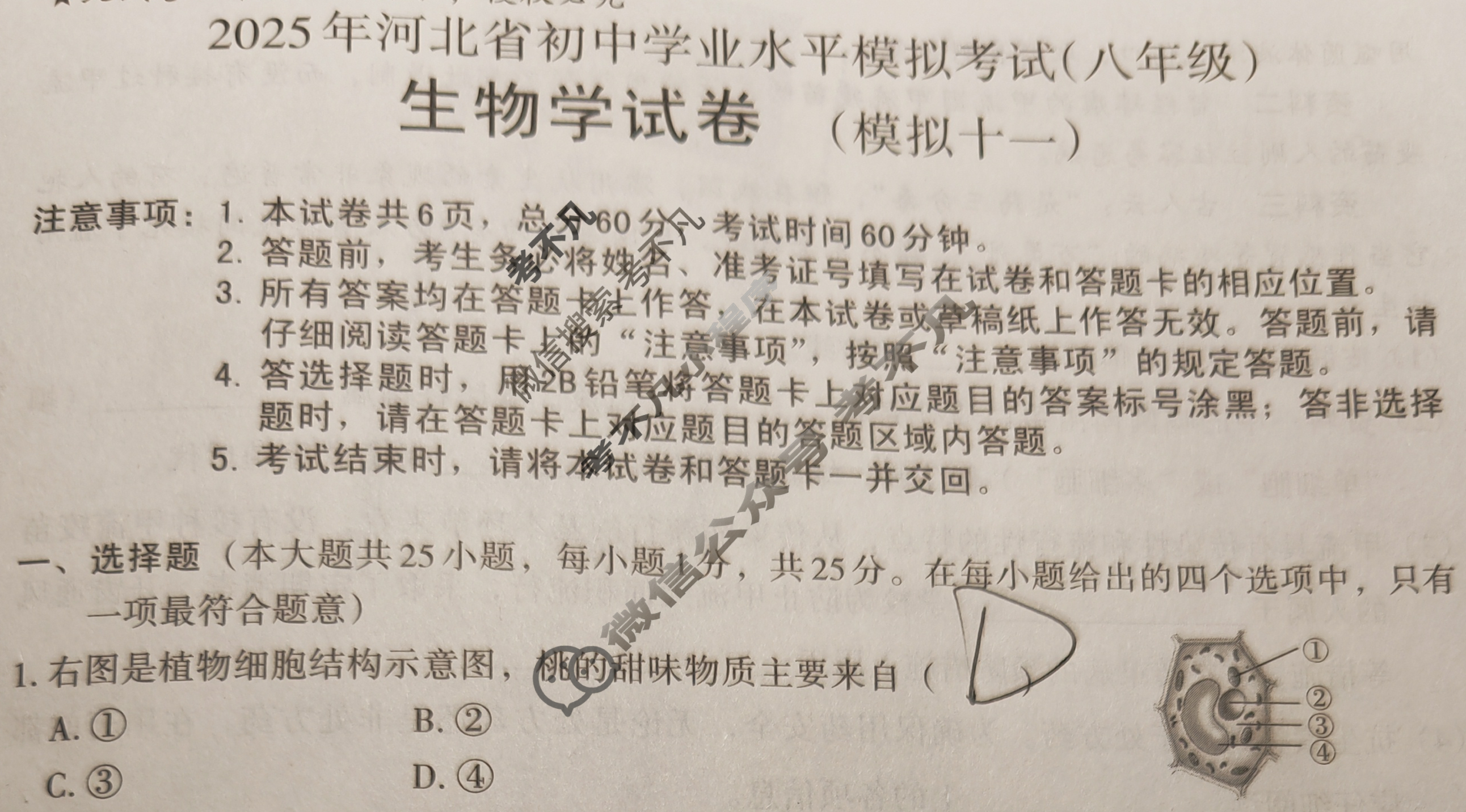 2025年河北省初中学业水平模拟考试试卷(八年级)(模拟十一)生物试题