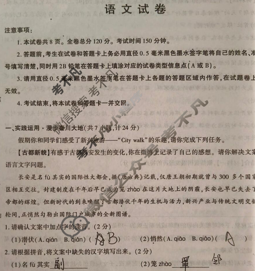 [学林教育]2025年陕西省初中学业水平考试·临考冲刺卷(D)语文A试题