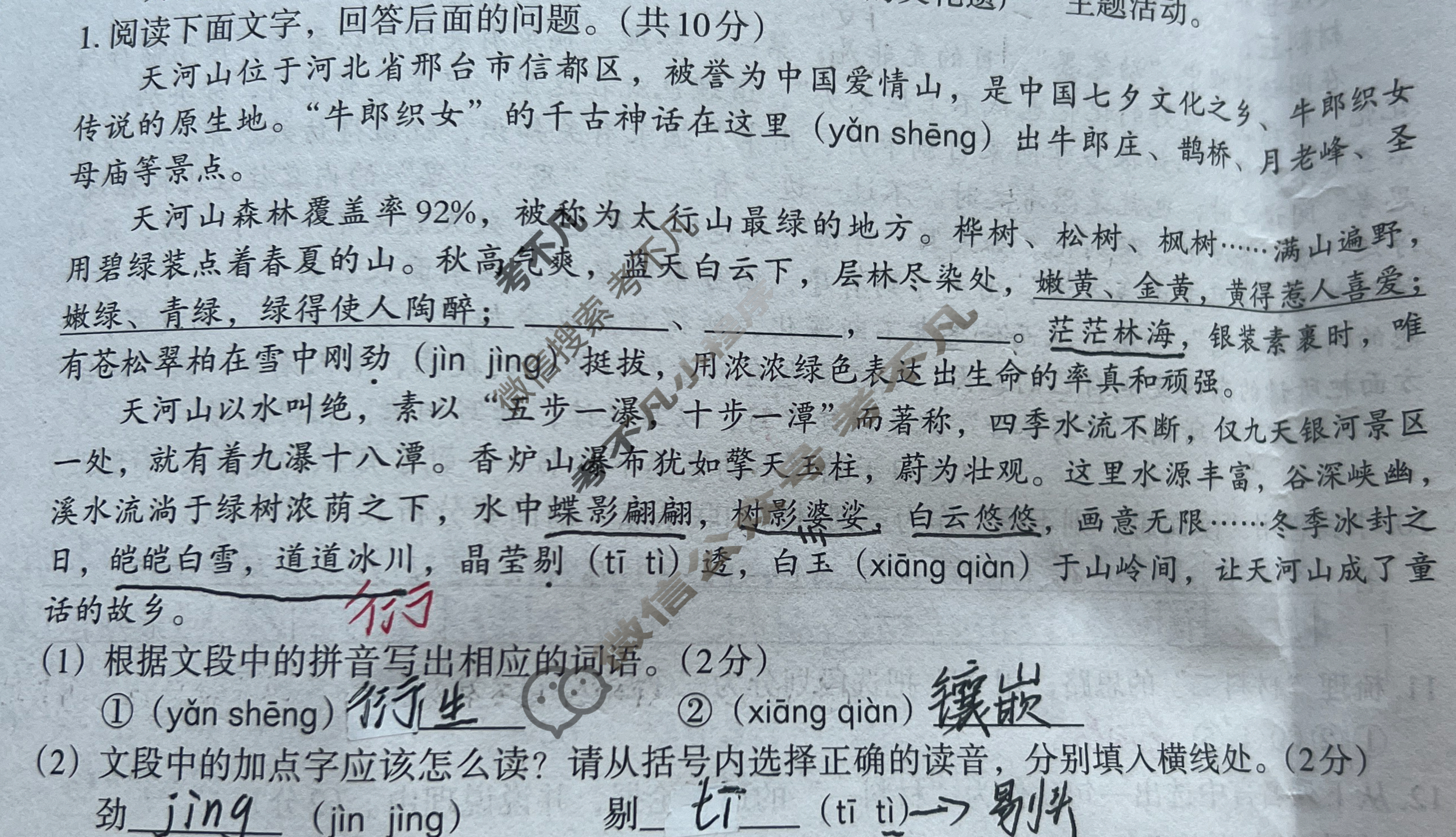 [文博志鸿]2025年河北省初中学业水平模拟考试(导向二)语文试题