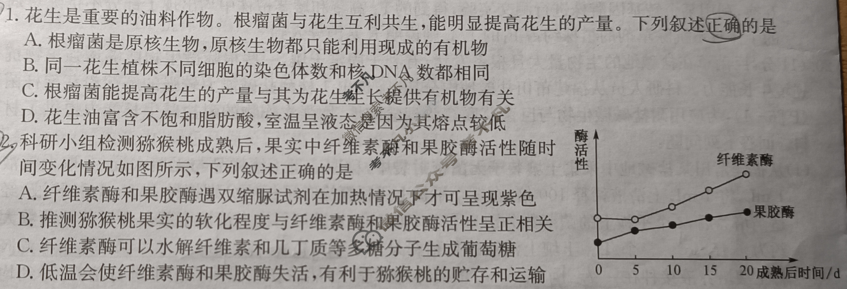 [九师联盟]2024~2025学年高三核心模拟卷(下)·(六)6生物A4试题