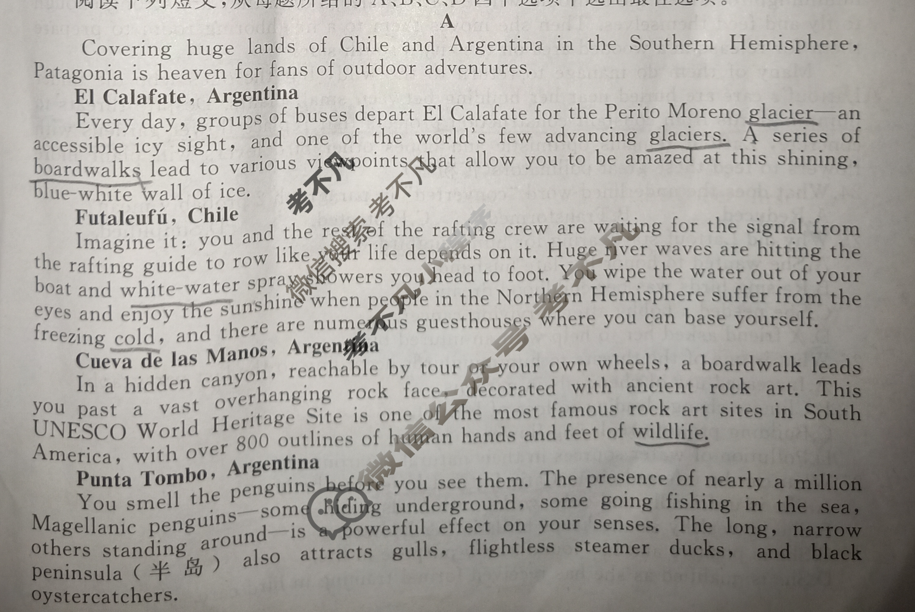 [天舟益考衡中同卷]2024-2025学年度高三年级下学期自我提升五·英语B试题