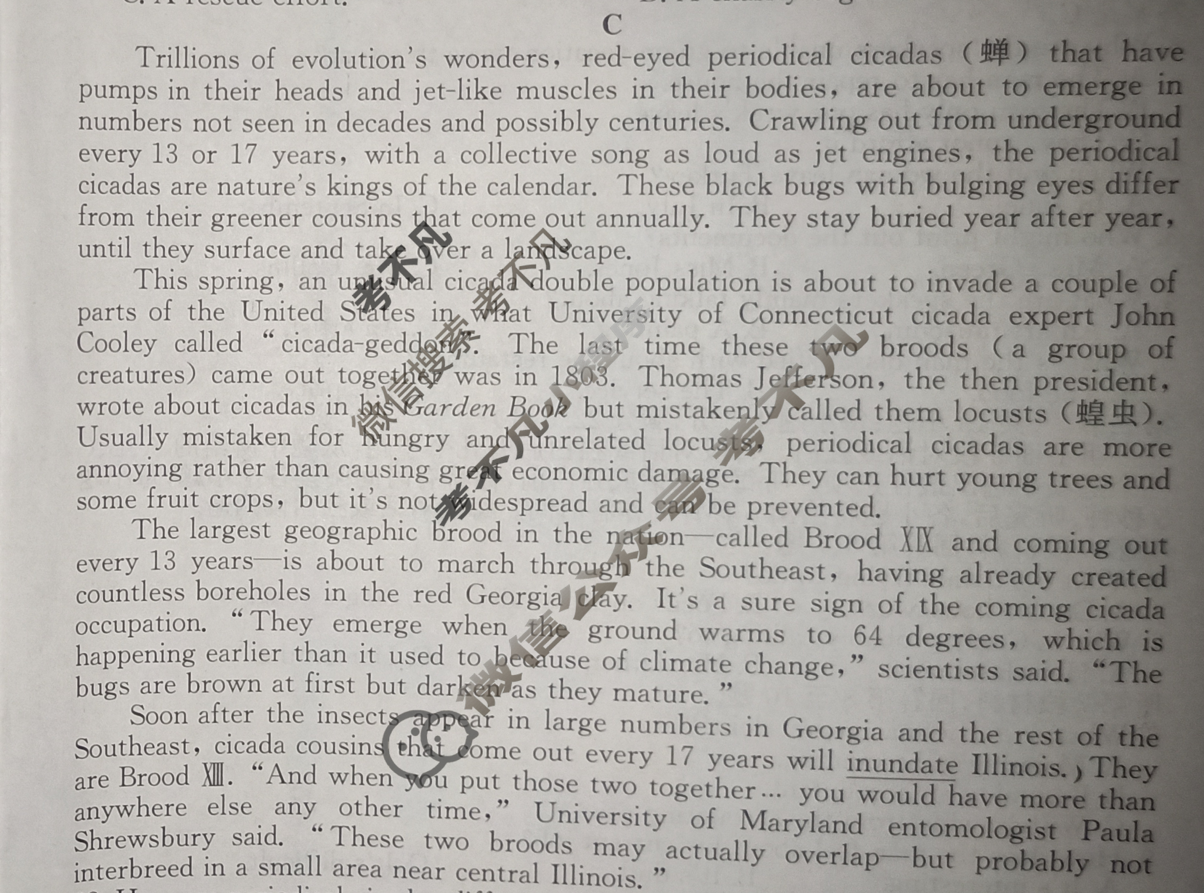 [天舟益考衡中同卷]2024-2025学年度高三年级上学期自我提升四·英语B试题