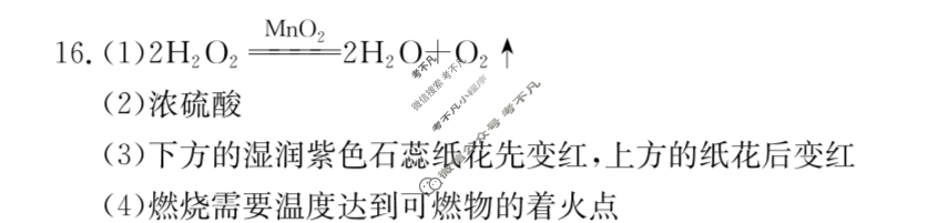 陕西省金太阳2025届九年级中考压轴卷(6.10)化学答案